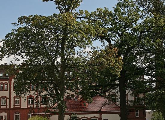 Außenaufnahme 2