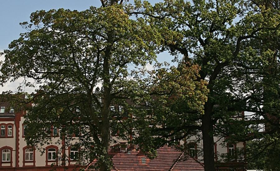 Außenaufnahme 2